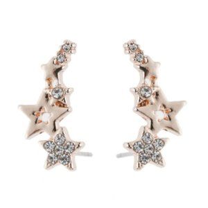 Elegant Star CZ Rose Gold Plated Earrings